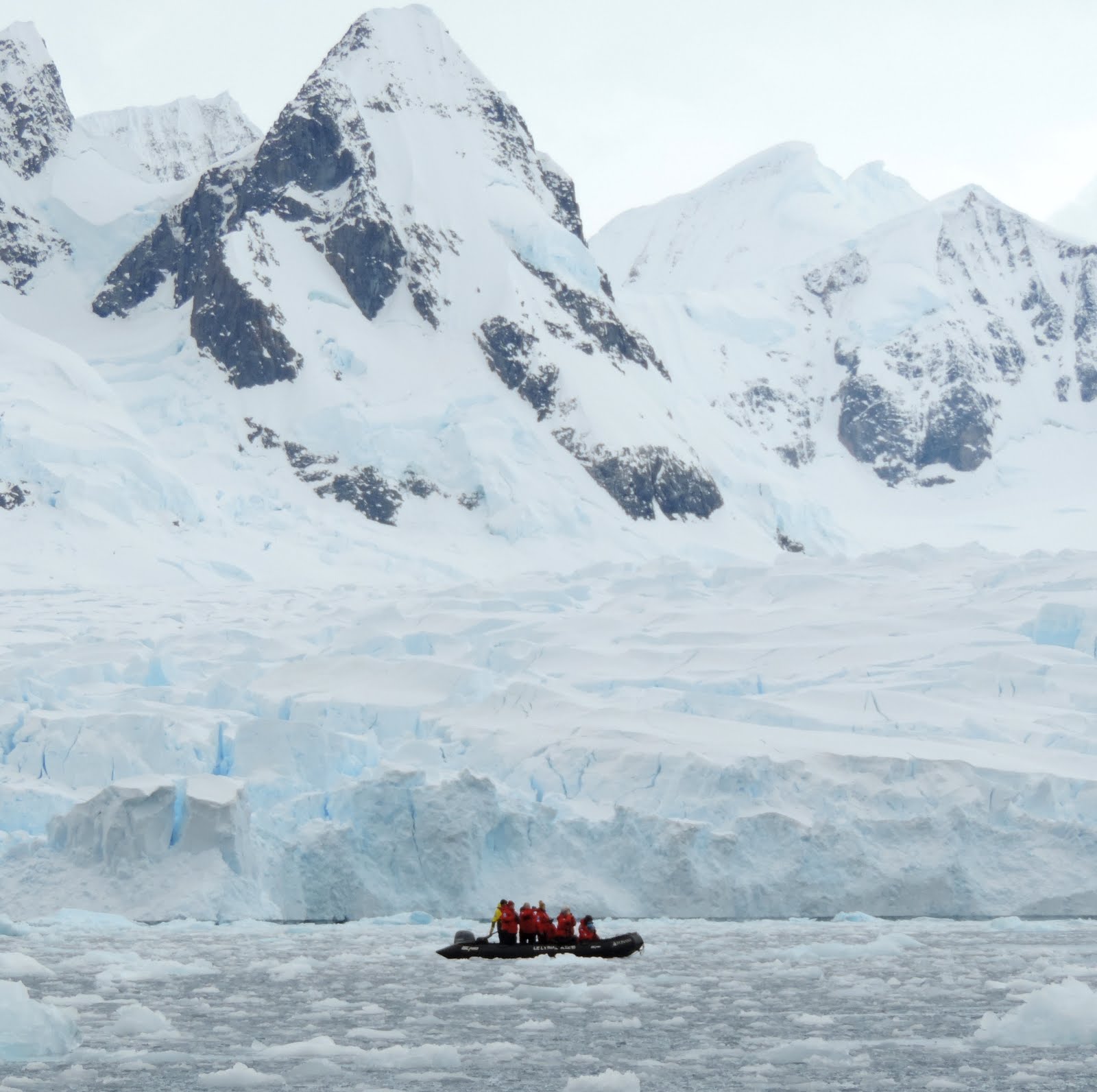 Cierva Cove – Antarctica