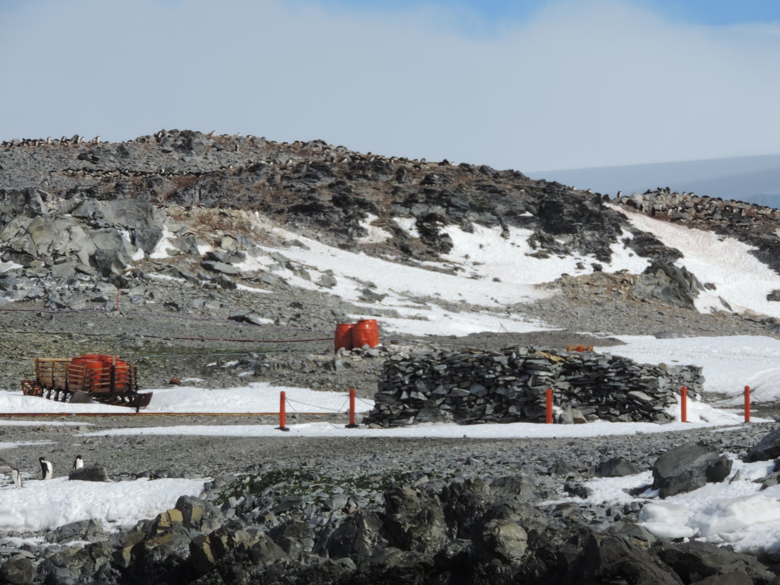 Hope Bay & Base Esperanza – Antarctica