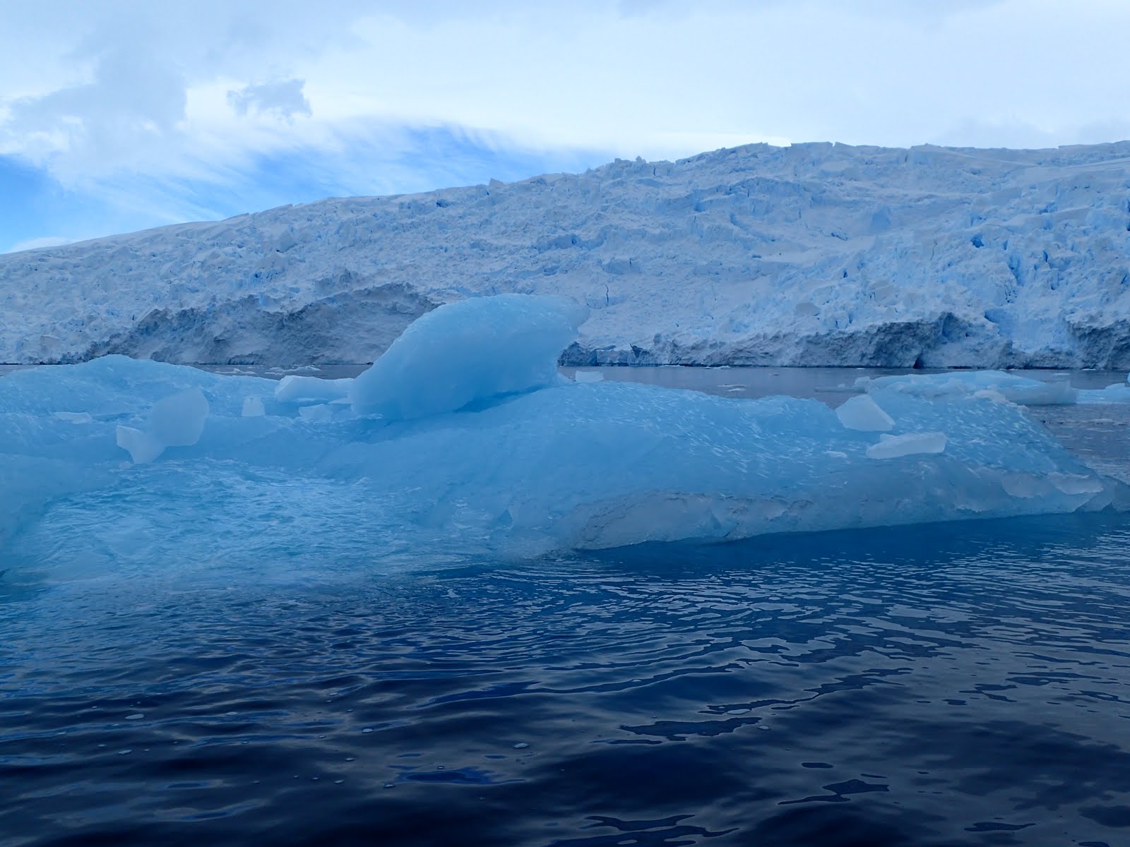 Cierva Cove – Antarctica