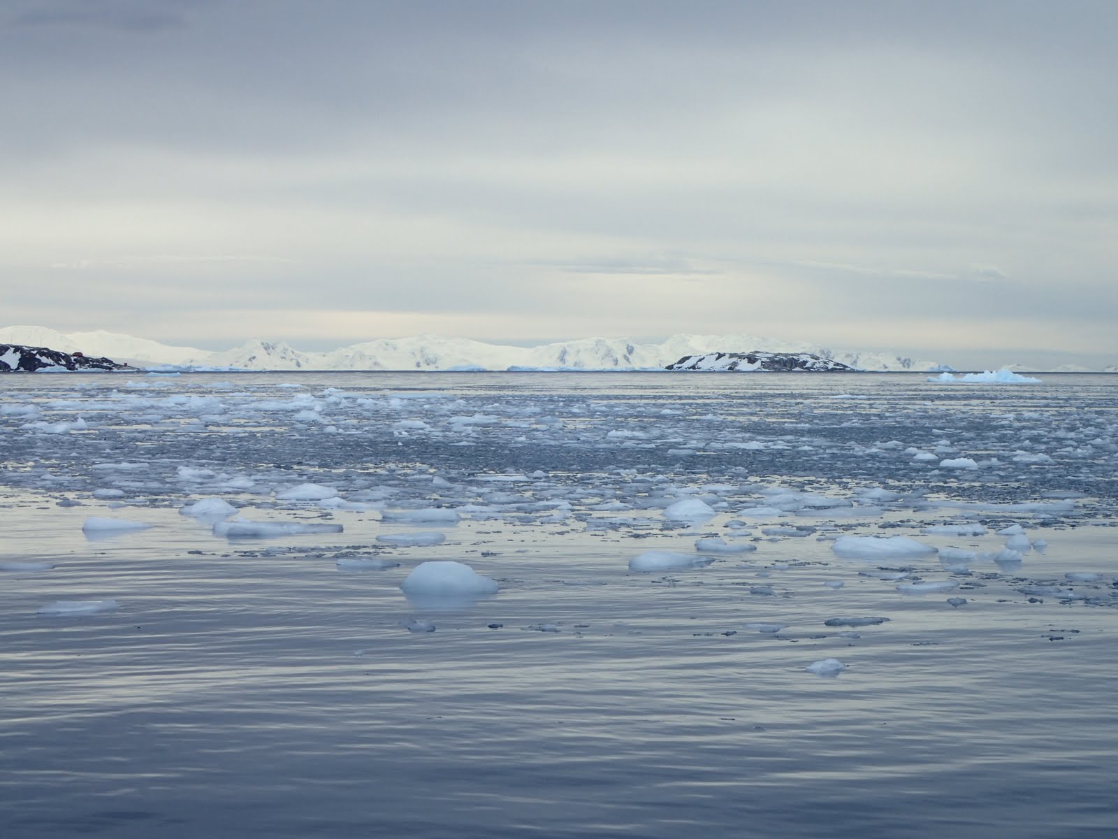 Cierva Cove – Antarctica