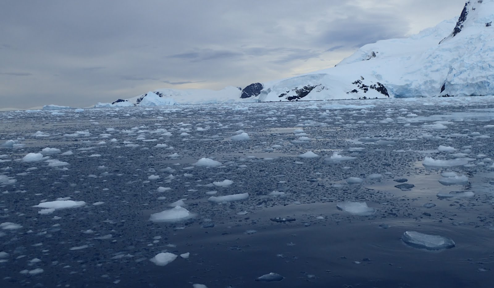 Cierva Cove – Antarctica